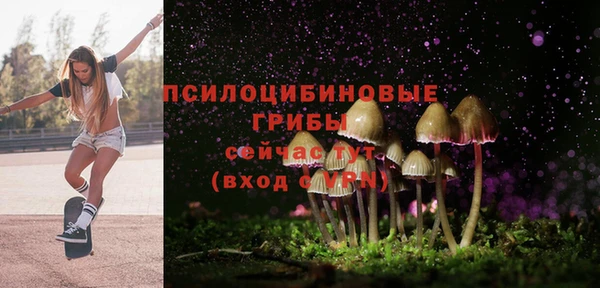 spice Арсеньев