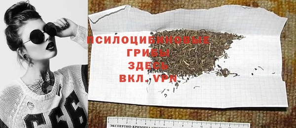 spice Арсеньев